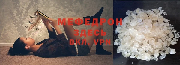 молекула духа Вяземский