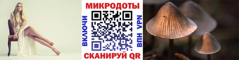 Псилоцибиновые грибы мухоморы  наркота  Мытищи 