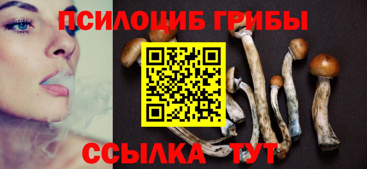 Мытищи  Псилоцибиновые грибы Psilocybe  Вход с VPN  Псилоцибиновые грибы ЛСД 